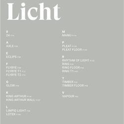 木艺吊灯设计:Hollands Licht 2021年荷兰创意简约灯具设计电子书