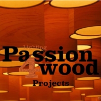 灯饰设计:Passion 4 Wood 2017