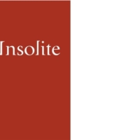 Objet Insolite 2017年最新现代灯具