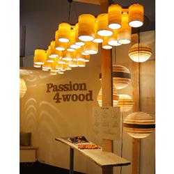 灯饰设计 Passion 4 Wood 2018年国外木艺灯饰设计素材