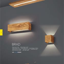 灯饰设计 TRIO 2020年德国现代灯饰设计图册