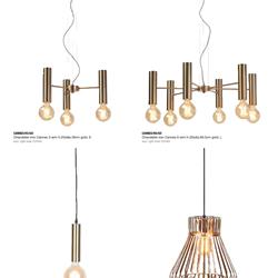 灯饰设计 Romi 2020年荷兰现代简约灯饰设计素材