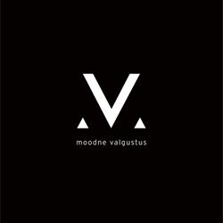Moodne Valgustus 2020年现代简约时尚灯饰图片