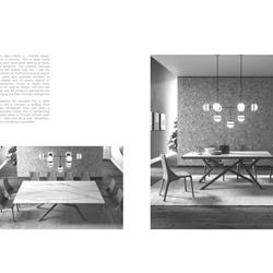 灯饰设计 Ozzio 2020年欧美室内现代时尚简约吊灯设计目录