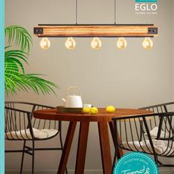 五金灯饰设计:Eglo 2020年欧美现代灯饰设计电子目录