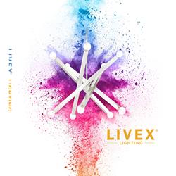 壁灯设计:Livex  2019-2020年欧美灯饰设计素材目录