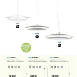 灯饰设计 Eglo 2020-2021年欧美现代灯饰设计素材目录