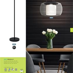 灯饰设计 Eglo 2020年欧美室内现代简约灯饰设计