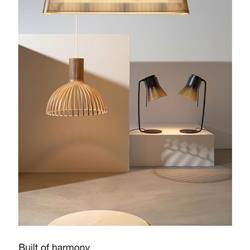 灯饰设计 Darc 2020年欧美最新装饰灯饰设计素材图片