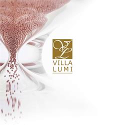 Villa Lumi 意大利时尚简约铜灯设计图片
