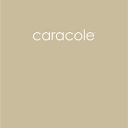 Caracole 2020年欧美现代家具设计素材