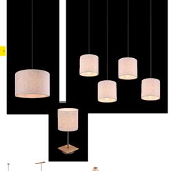 灯饰设计 TRIO 2021年德国现代灯饰设计电子图册