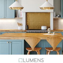 风扇灯设计:Lumens 2021年欧美灯饰家具素材电子书P