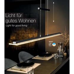 灯饰设计 Fischer & Honsel 2021年德国家居装饰照明电子目录
