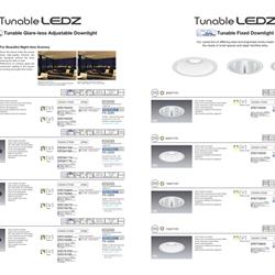灯饰设计 ENDO Lighting欧美商业照明设计方案