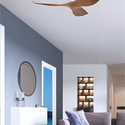 灯饰设计 EGLO 2021年欧美风扇灯吊扇灯设计素材图片