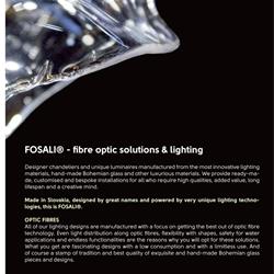 灯饰设计 FOSALI 欧美艺术灯饰设计素材图片电子图册