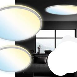 灯饰设计 Briloner 2021年德国家居日常LED照明灯具图片