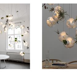 灯饰设计 Bocci 2022年欧美室内花草植物灯饰设计图片