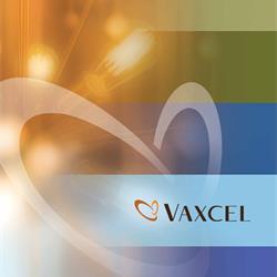 铁艺吊灯设计:Vaxcel 2022年最新美式灯具设计电子图册