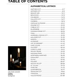 灯饰设计 DVI 2023年最新欧美现代时尚灯具设计素材图片