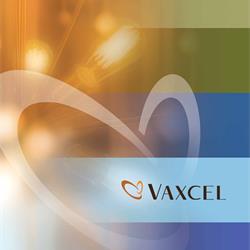 灯具设计 Vaxcel 2023年最新欧美灯具设计电子图册