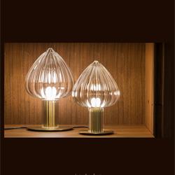 灯饰设计 Album 意大利玻璃灯饰设计素材电子书籍