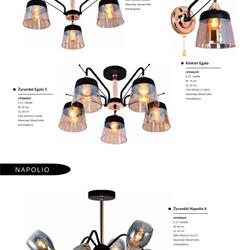 灯饰设计 Lampex 2024年波兰现代时尚灯具设计电子目录