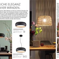 灯饰设计 Fischer & Honsel 2024年德国现代灯具设计图片电子目录