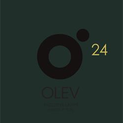 灯具设计 OLEV 2024年意大利灯具照明品牌电子书